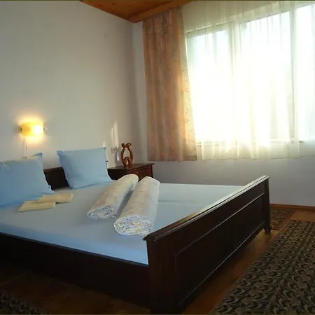 Bellis فيلة Velika